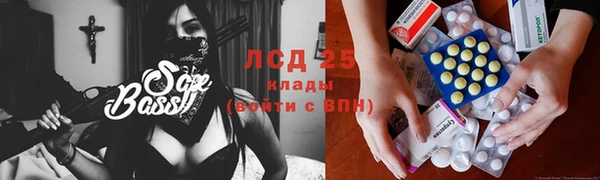 ПСИЛОЦИБИНОВЫЕ ГРИБЫ Алексин