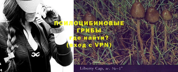 прущие грибы Алзамай