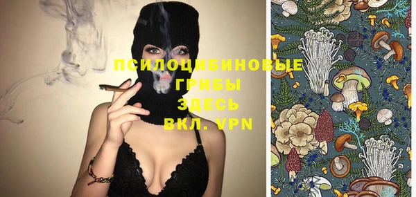 ПСИЛОЦИБИНОВЫЕ ГРИБЫ Алексин