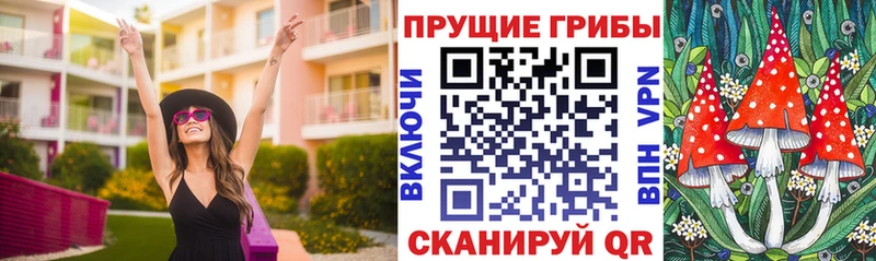 где купить наркоту  Черепаново  маркетплейс официальный сайт  Галлюциногенные грибы GOLDEN TEACHER 